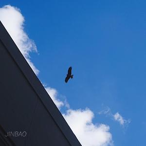 骚麦苮儿全部歌曲视频在线
