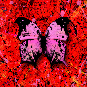 骚麦苮儿全部歌曲视频在线
